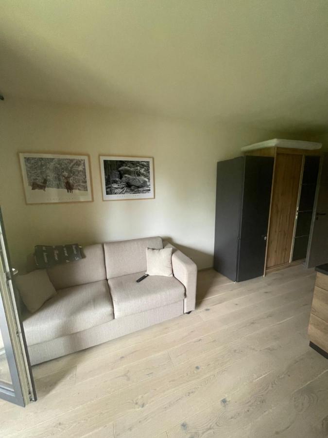 Apartman Pod Jasanem Hojsova Straz Brcalnik Apartment Zelezna Ruda Bagian luar foto