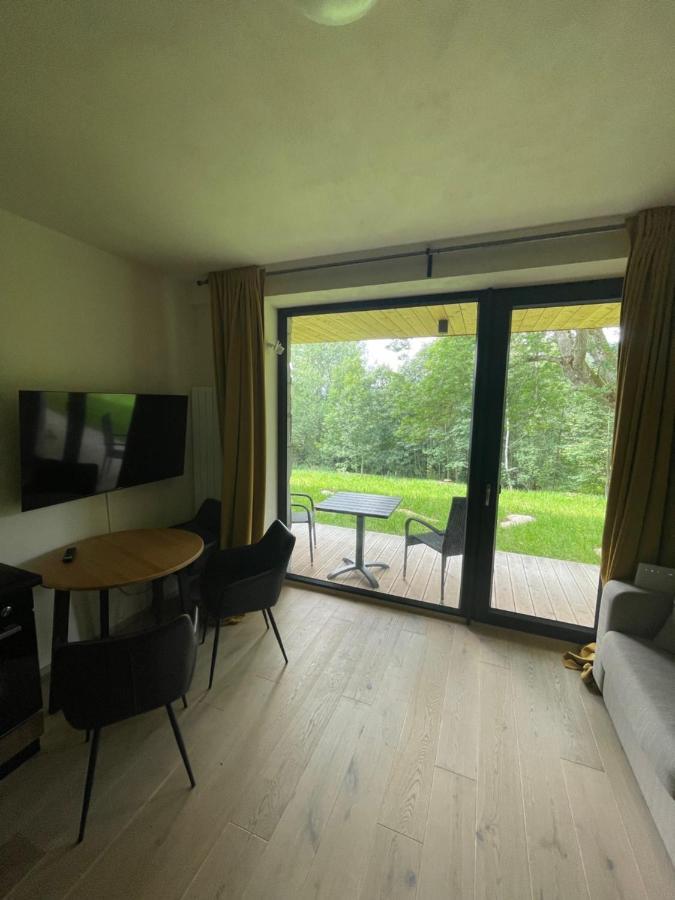 Apartman Pod Jasanem Hojsova Straz Brcalnik Apartment Zelezna Ruda Bagian luar foto