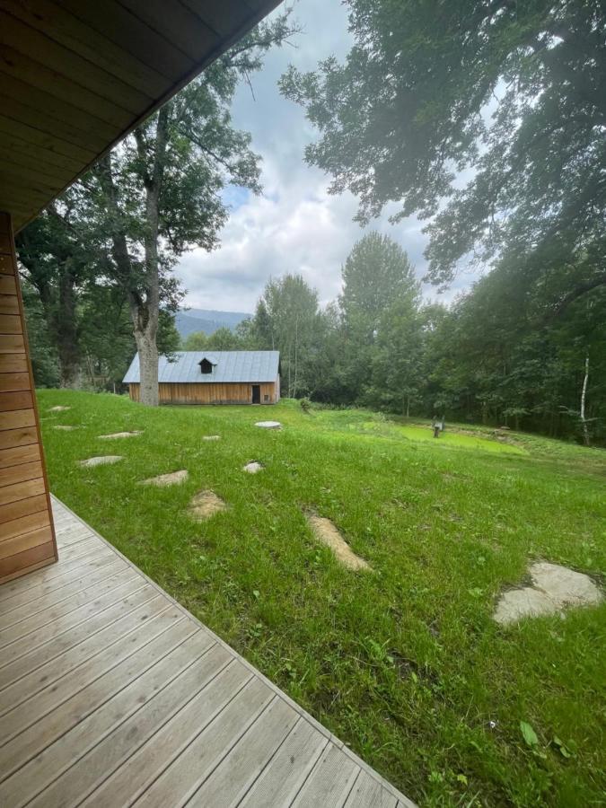 Apartman Pod Jasanem Hojsova Straz Brcalnik Apartment Zelezna Ruda Bagian luar foto