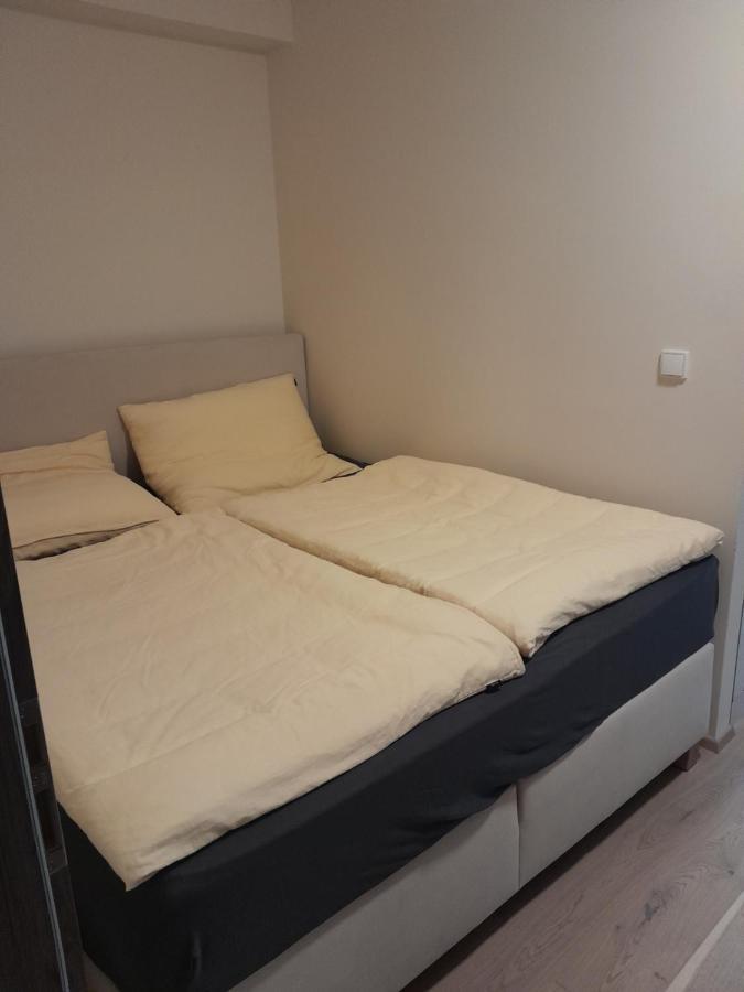 Apartman Pod Jasanem Hojsova Straz Brcalnik Apartment Zelezna Ruda Bagian luar foto